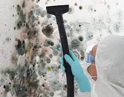 Biohazard Mold Removal in Islamorada Village Of Islands, FL